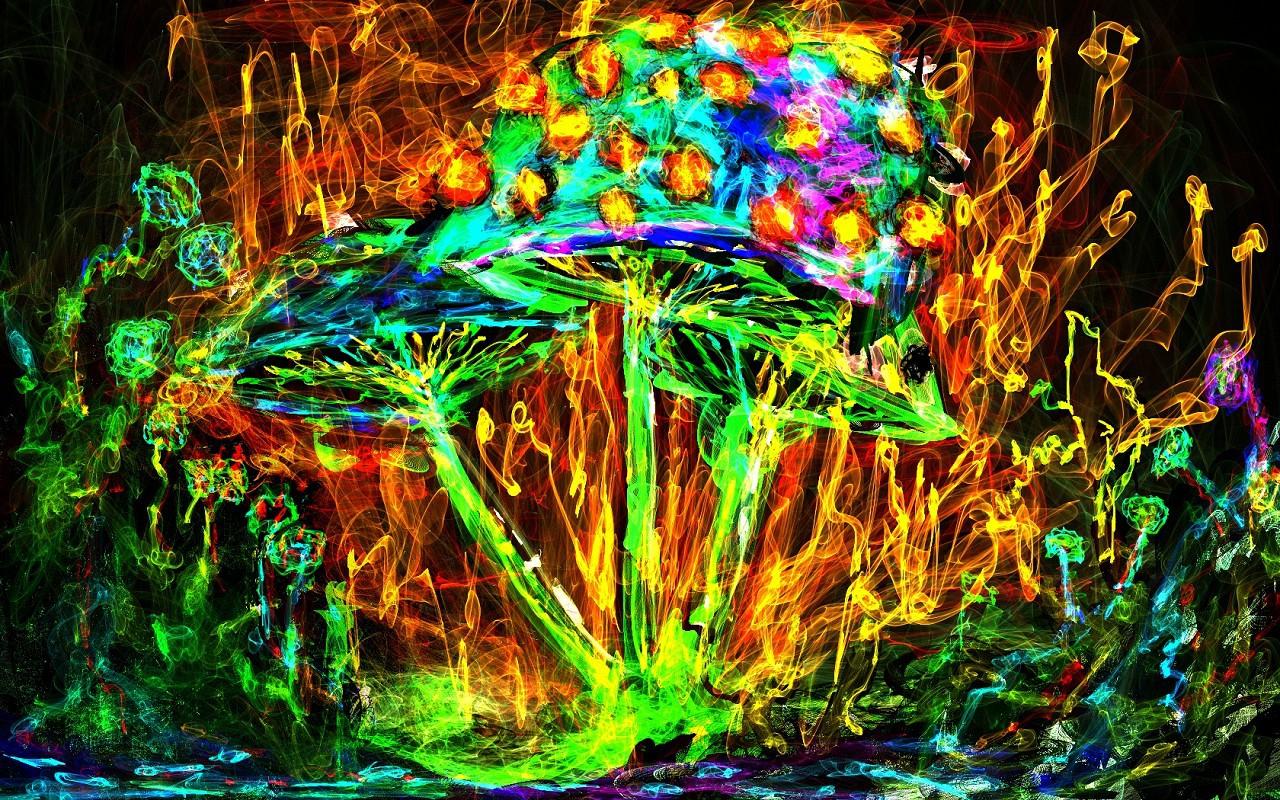 Magic Shrooms.jpg