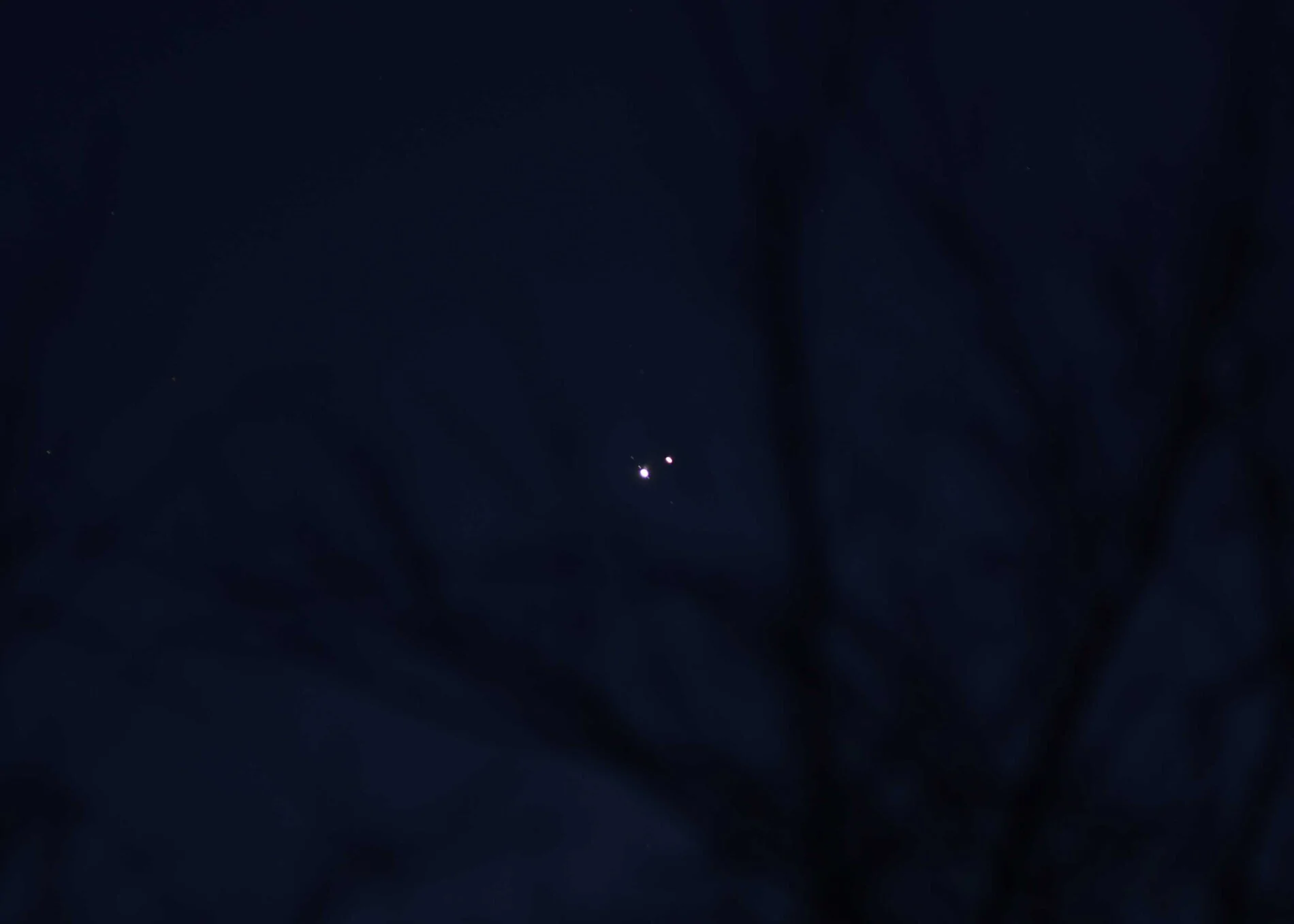 Christmas starfor web.webp