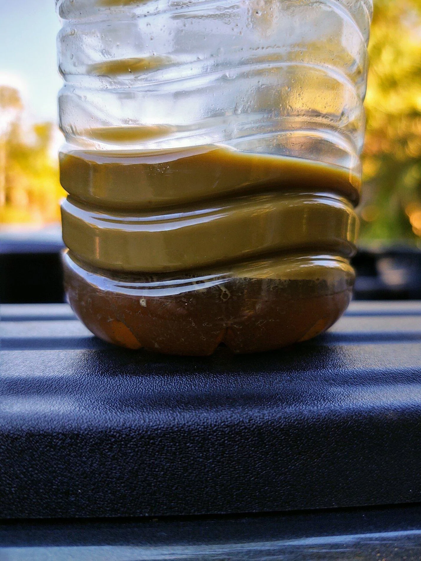 IMG_20201221_134317955_HDR~2.webp