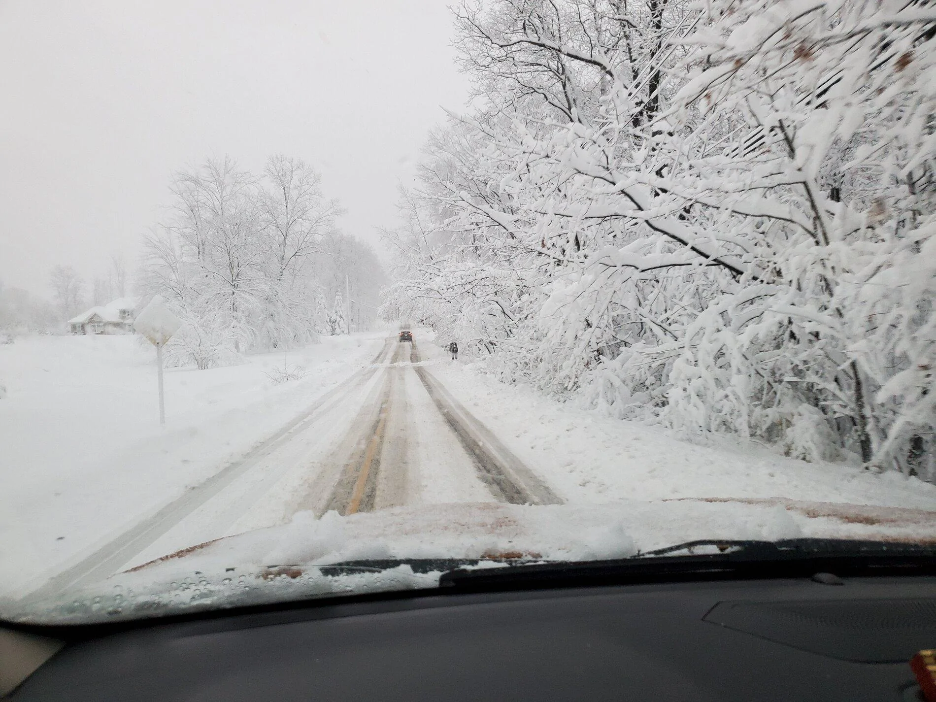 20201201_163146.jpg