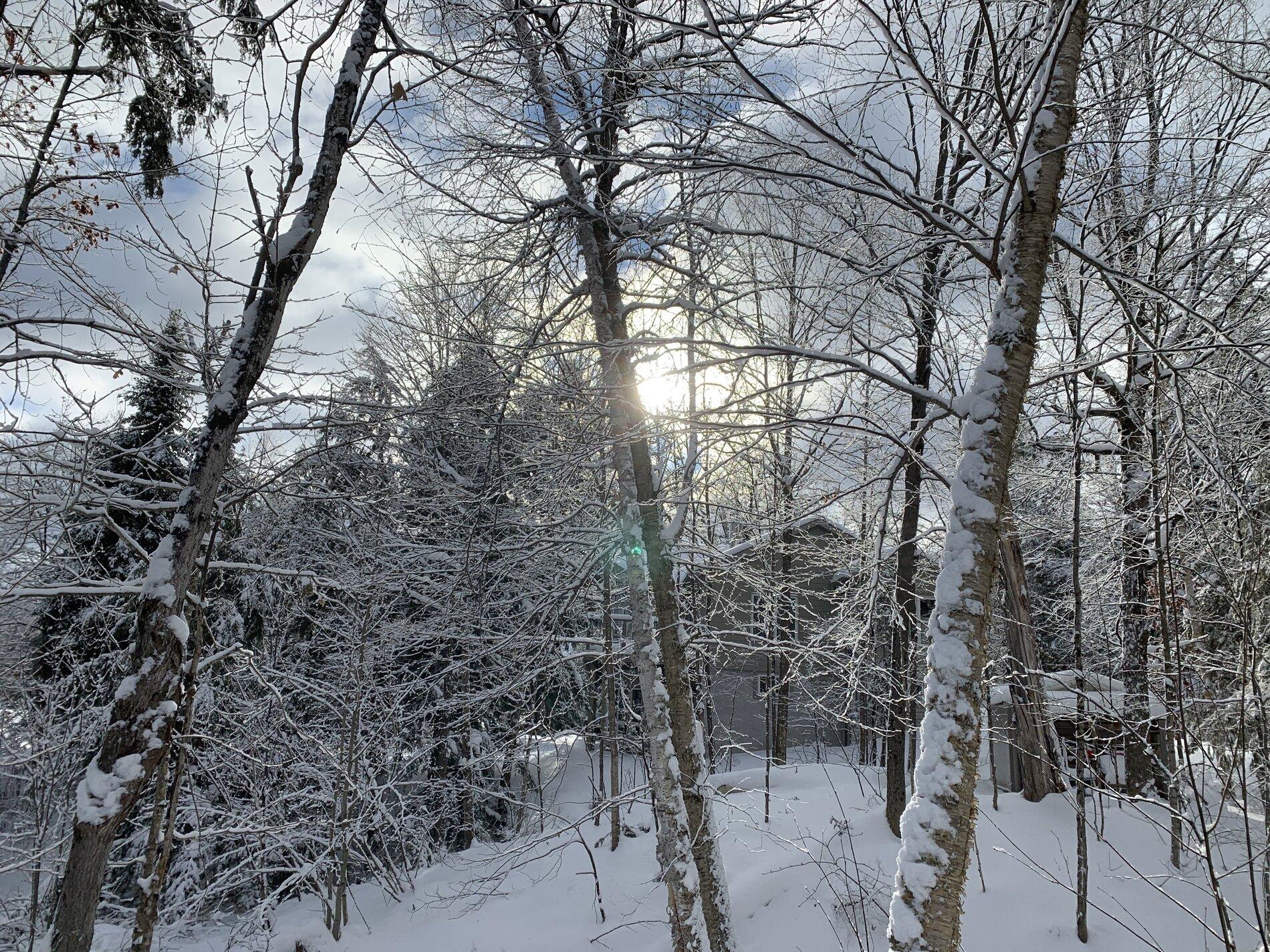 AEF67A19-E142-4F85-A8DC-9462FD9B88AF.jpeg