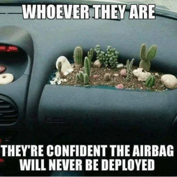Airbagplanter.jpg