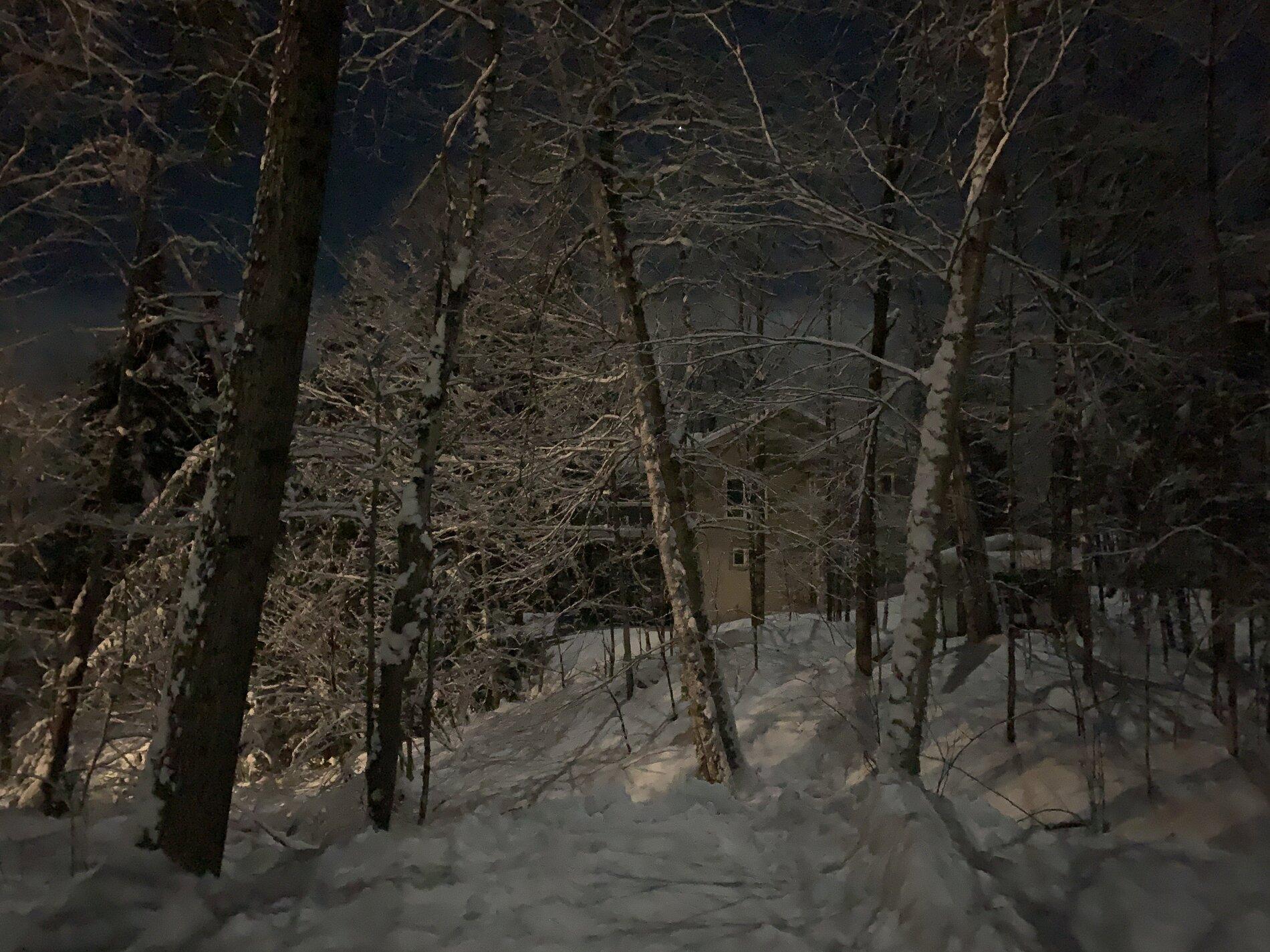 4059848B-177E-4577-9F1A-0F627E3B5238.jpeg