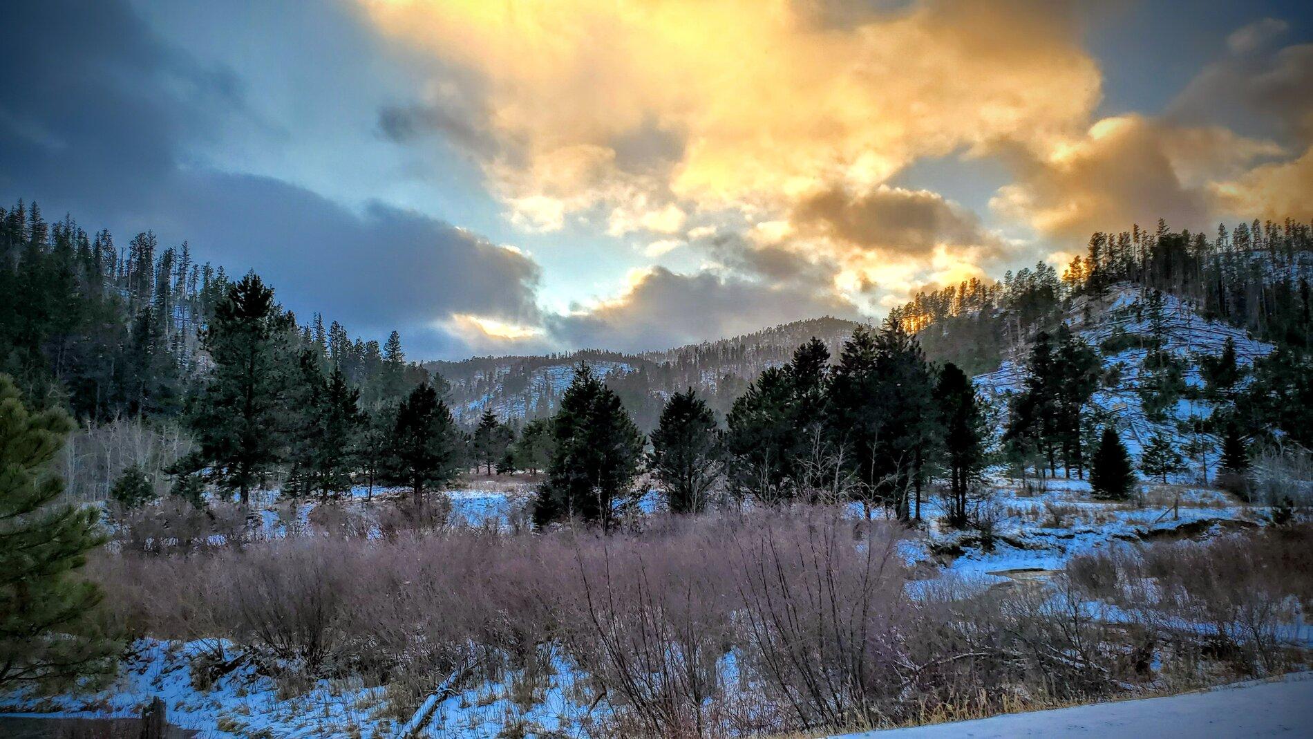 20201229_155827.jpg