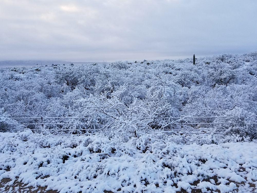 Snow in the Desert.jpg