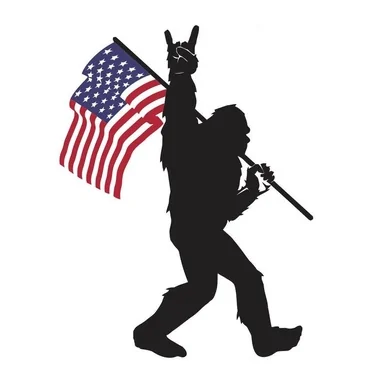 SAS American Flag.webp