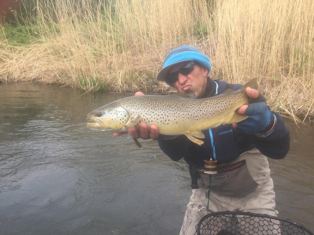 0634DAF9-B000-46F5-BD99-074D08AD76F5_1_105_c.jpeg