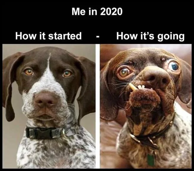 Me In 2020.jpg