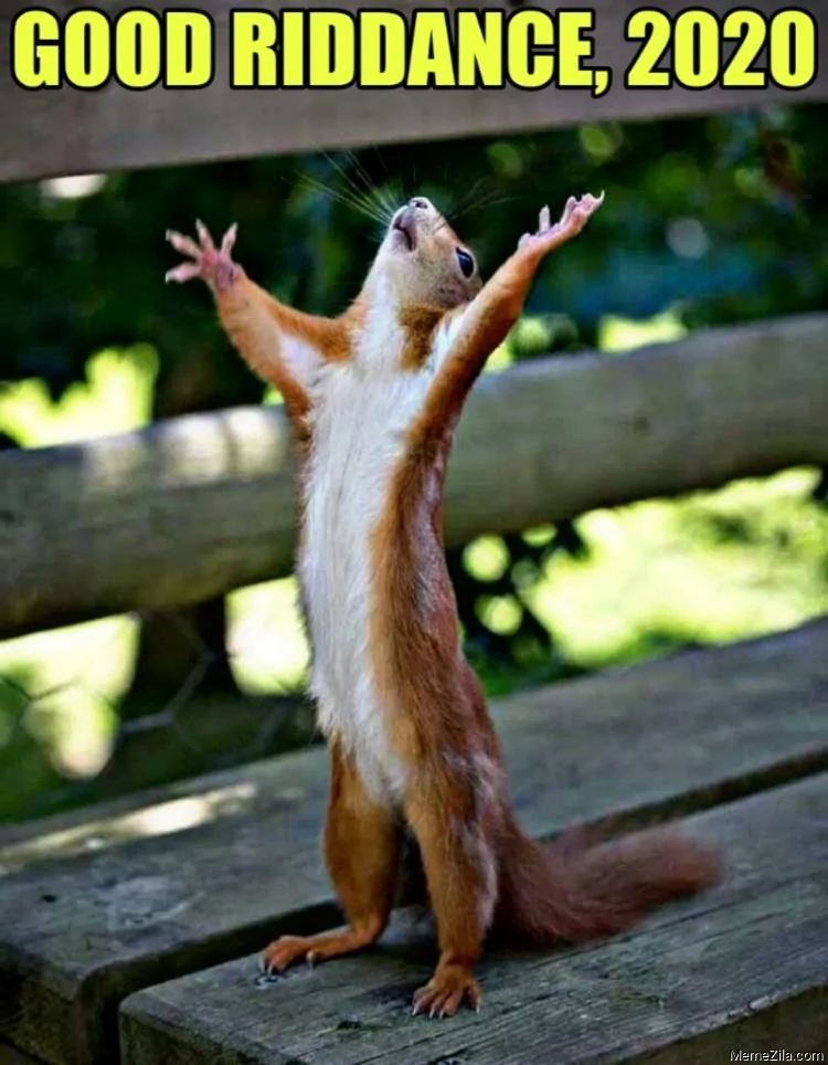 Good-riddance-2020-Squirrel-meme-8982.webp