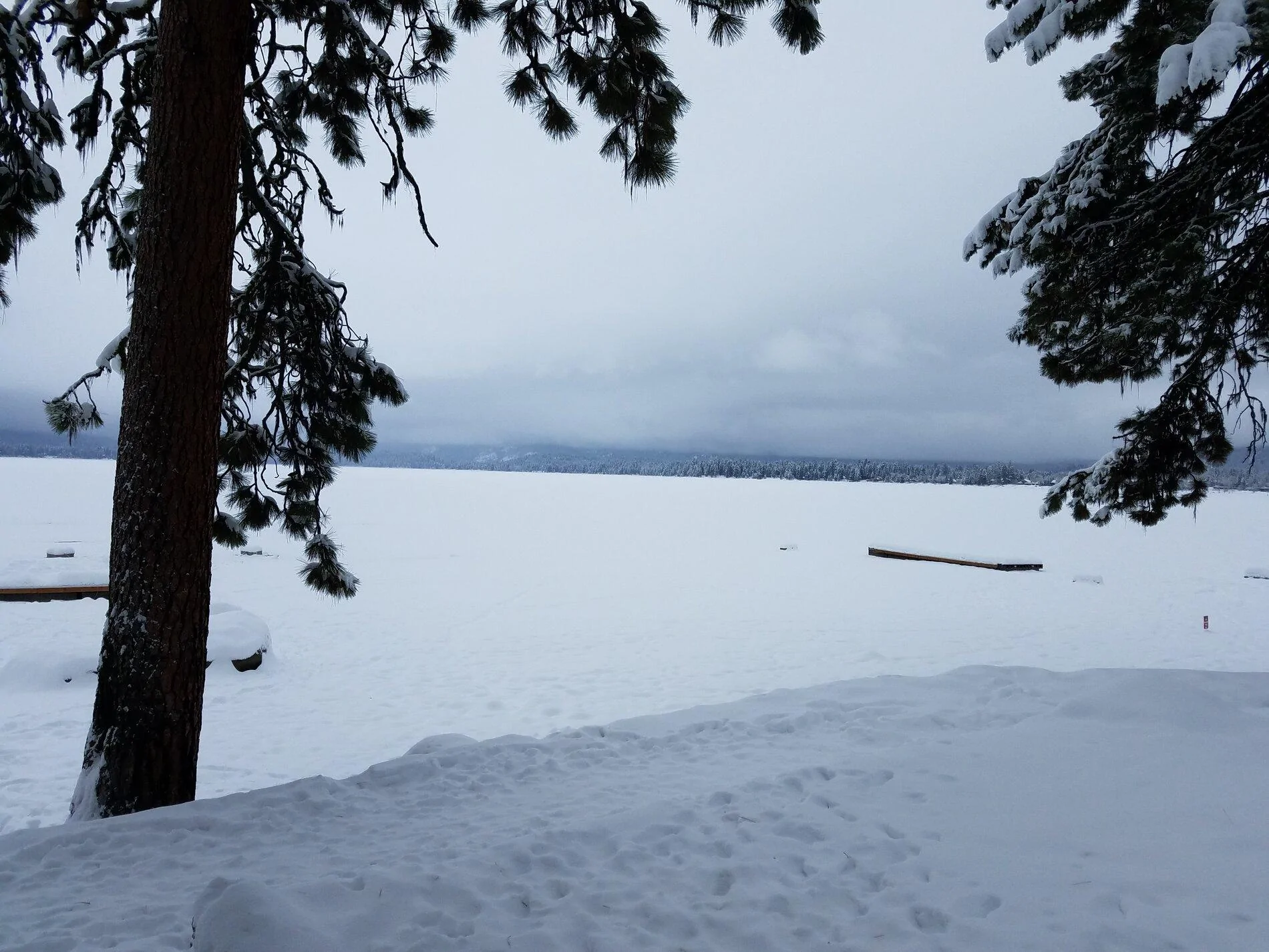 Payette frozen 1221.webp