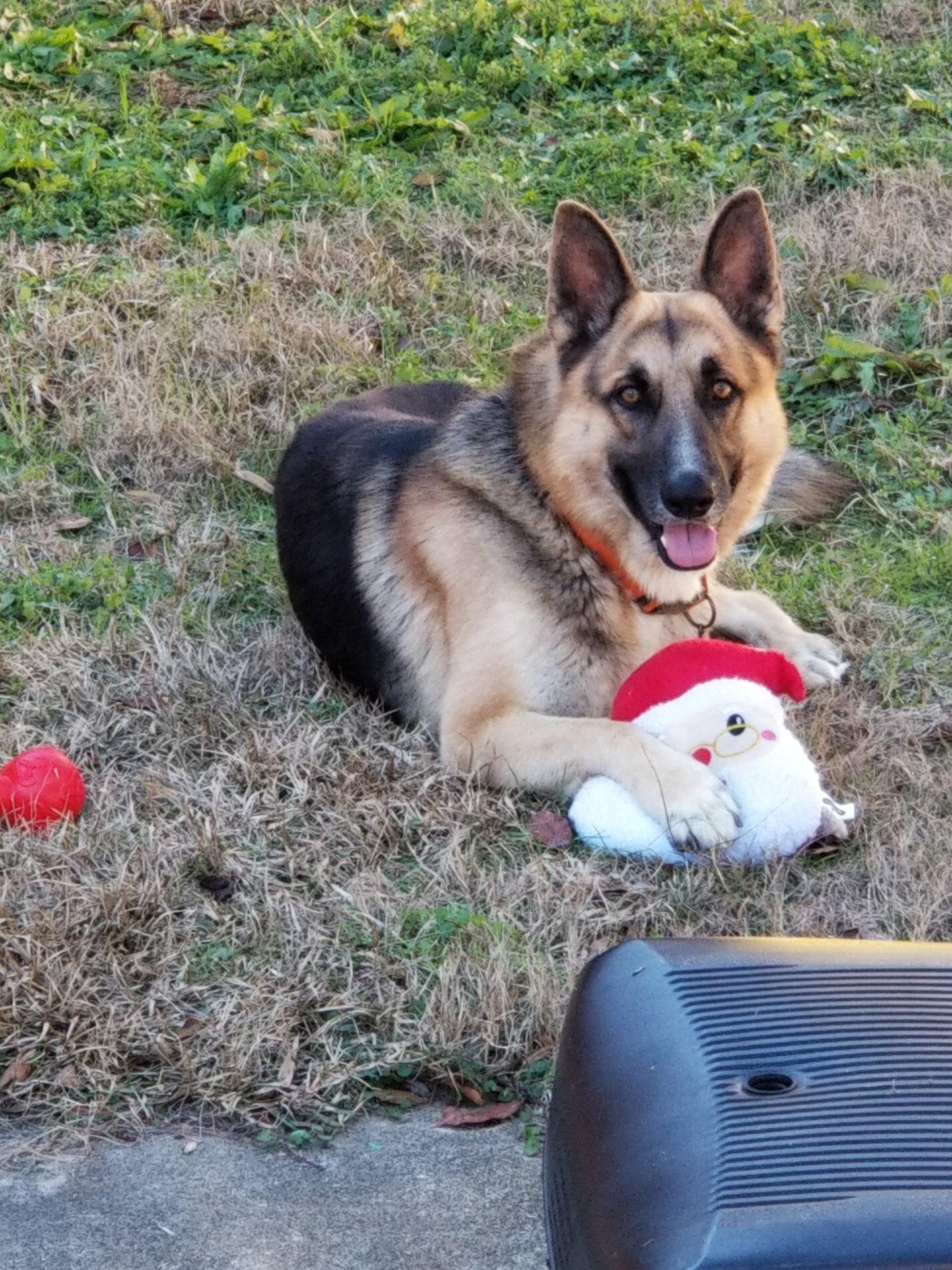 20201226_122945.jpg