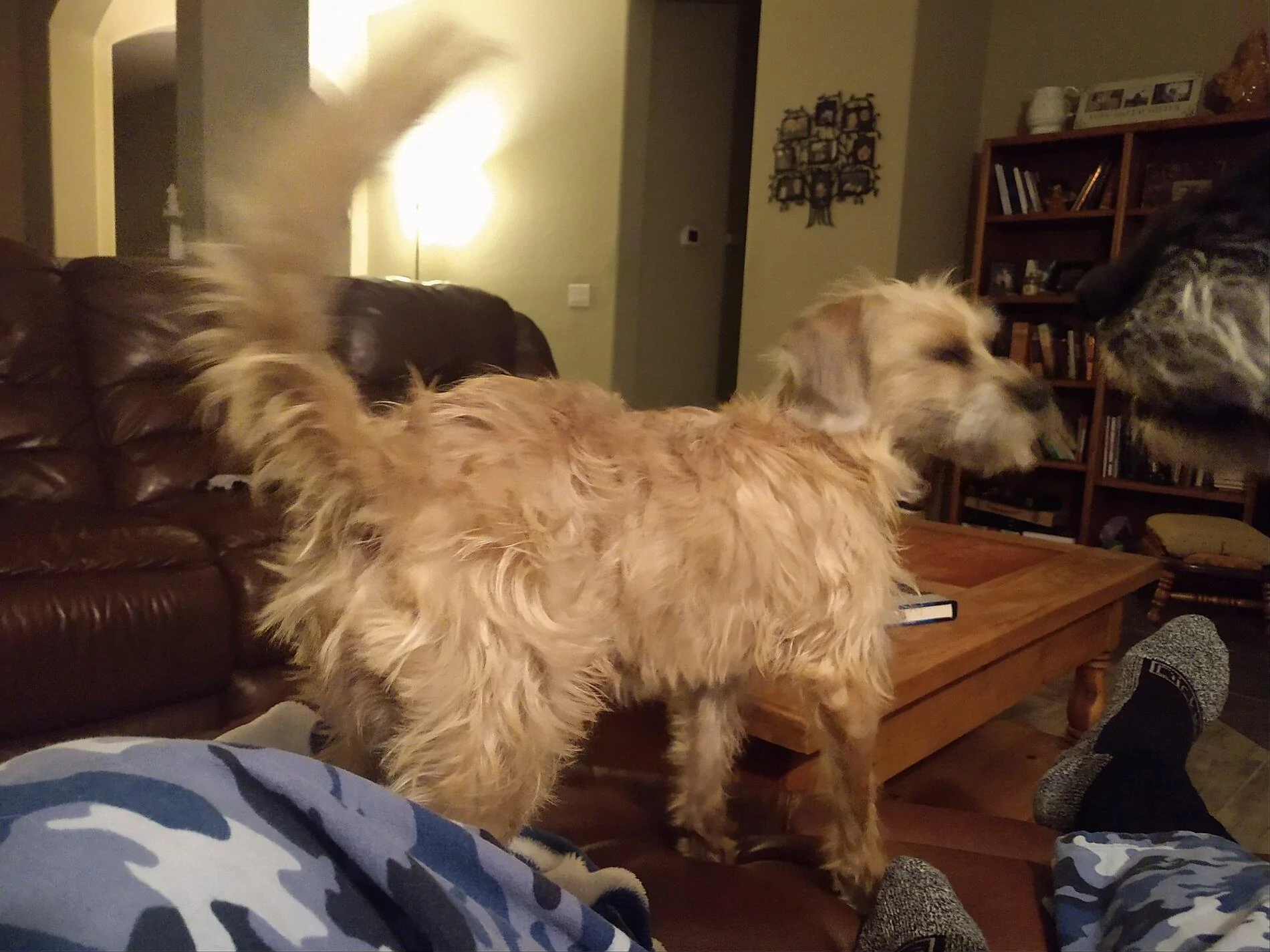 IMG_20201230_185337489_MP.jpg
