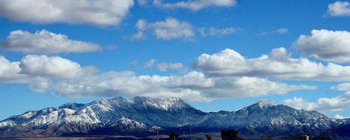 IMG_3325_3.jpg