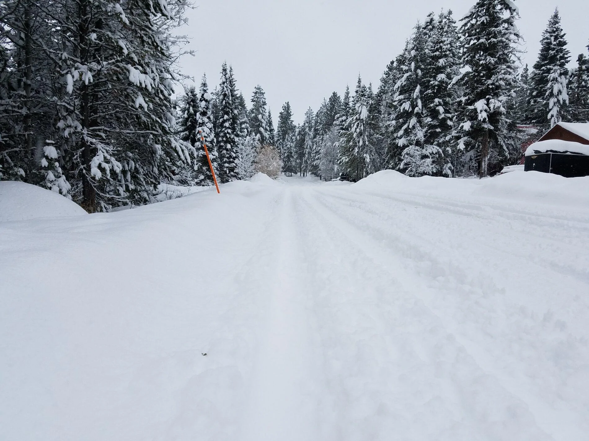 road 010321.webp