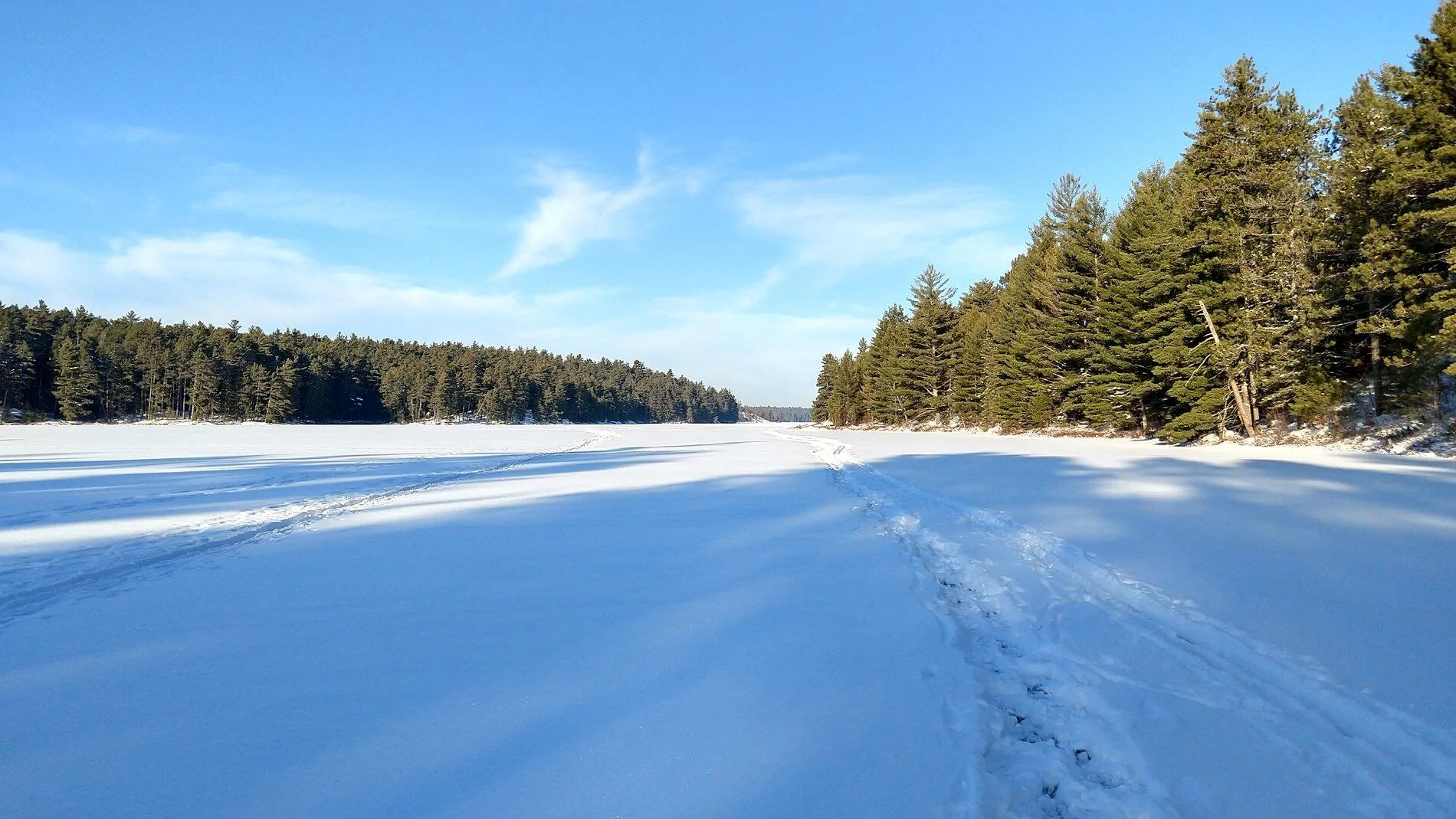 IMG_20210103_142012590_HDR.webp