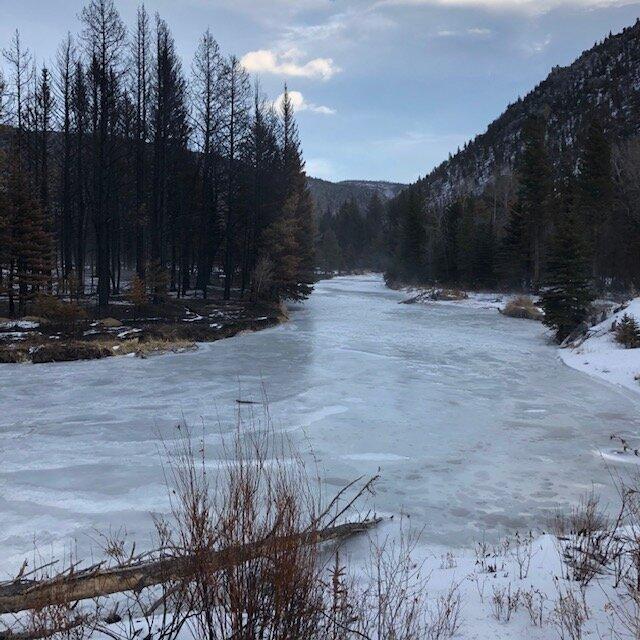 IMG_1483.jpg