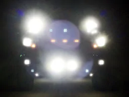 Sids Avatar.webp