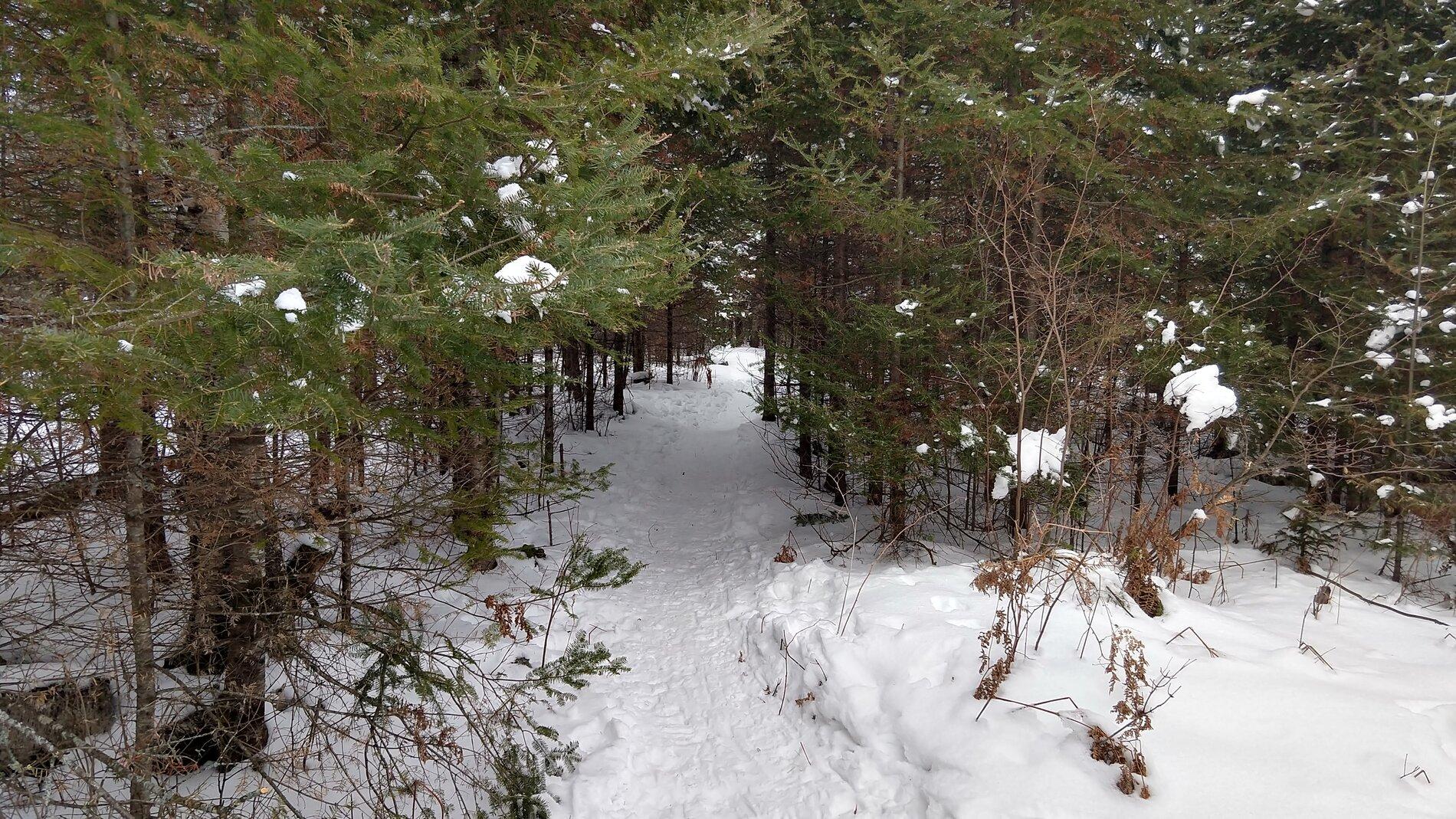 IMG_20210110_121053605_HDR.jpg