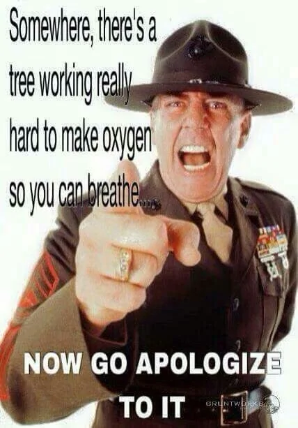 gunny.webp