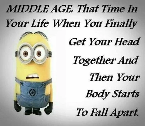 Middle Age.webp