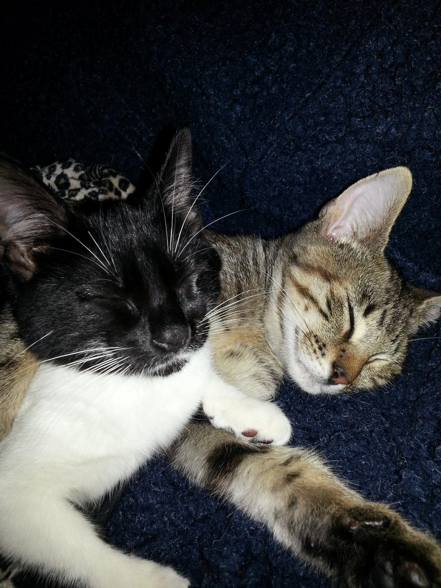 20120901_181421.jpg