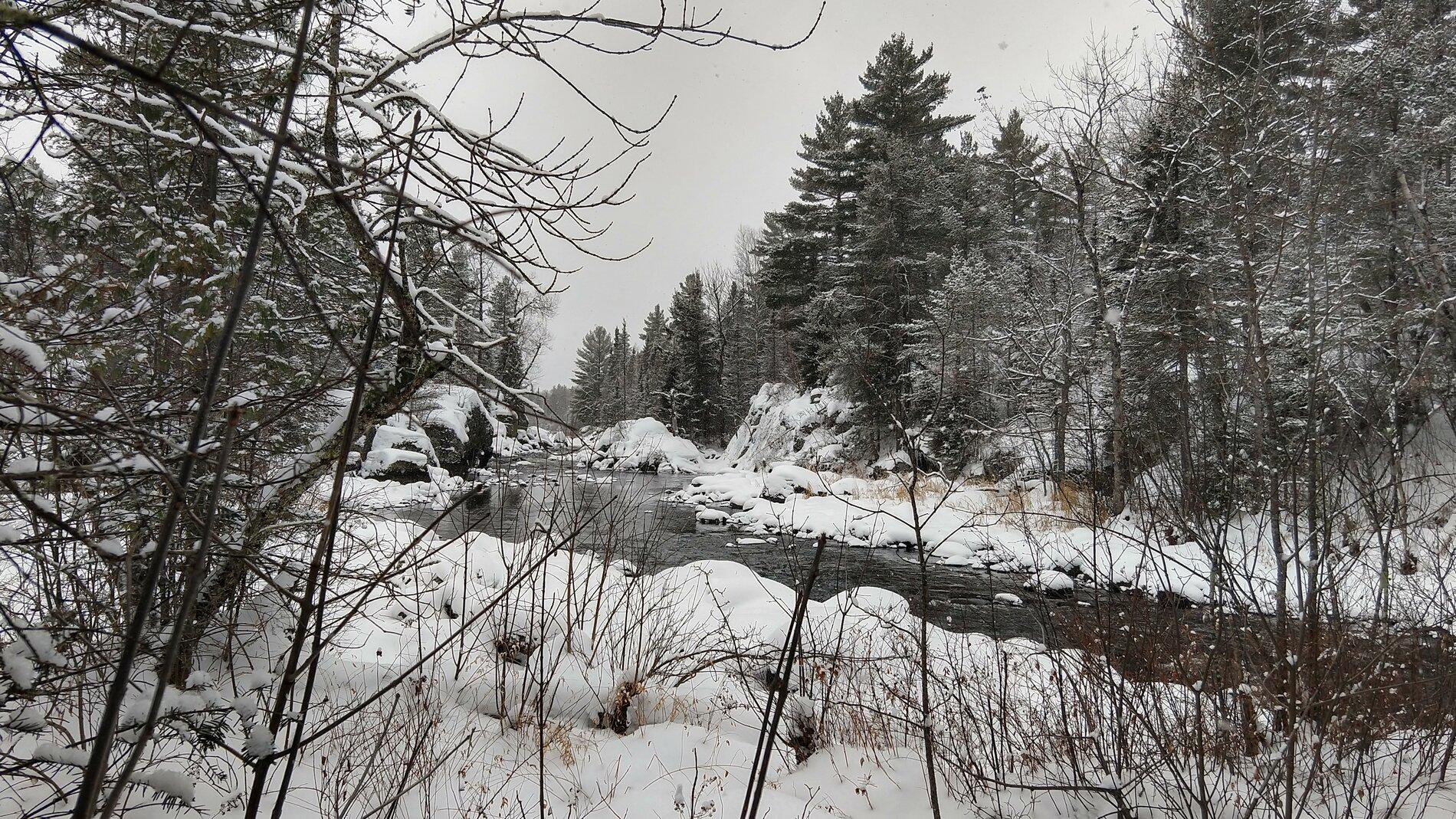 IMG_20210118_124621942_HDR.jpg
