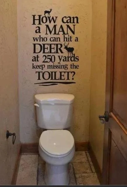 toilet.webp