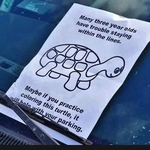 turtle.webp