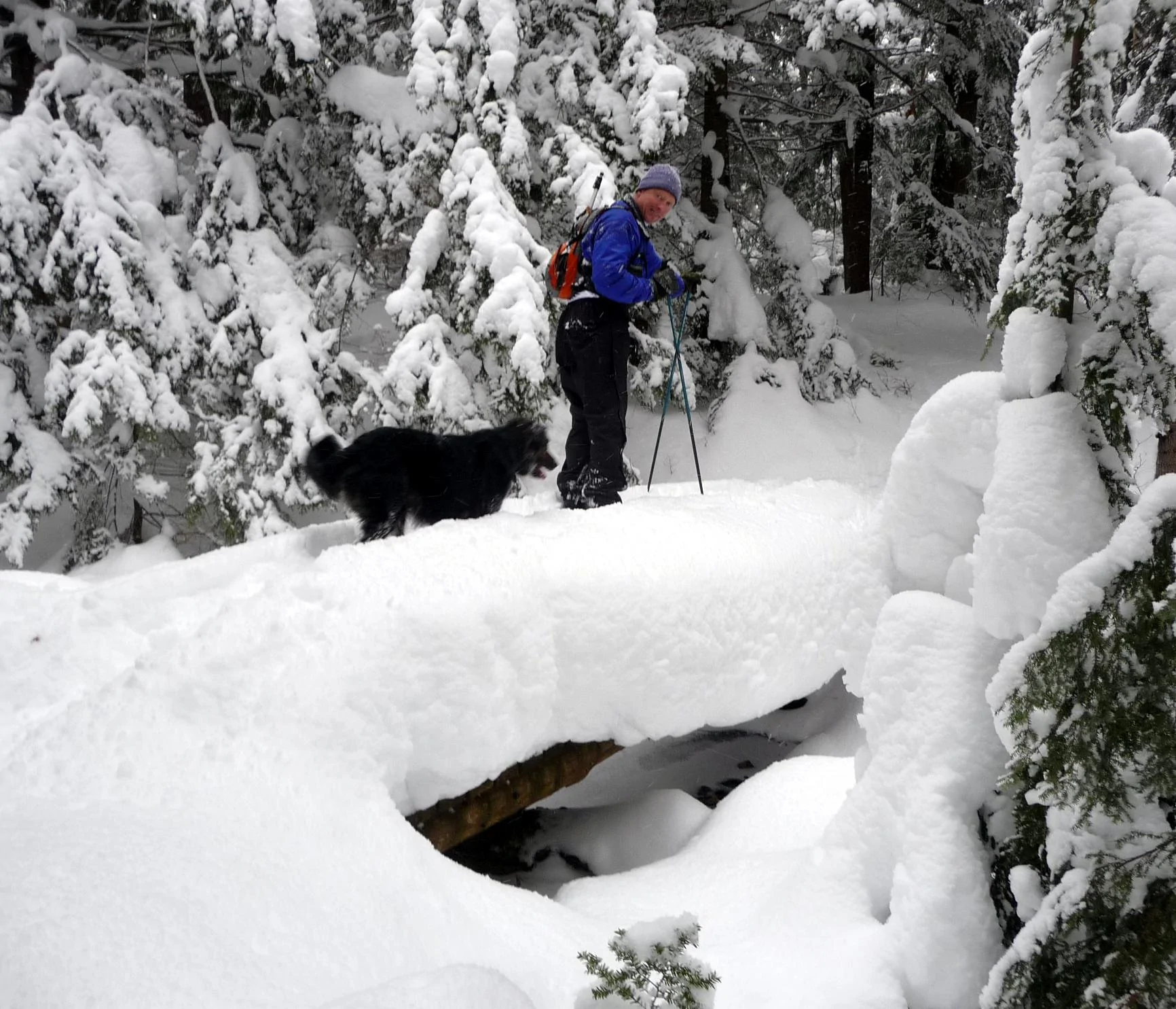 Porkies BC ski bridge dec 09.webp