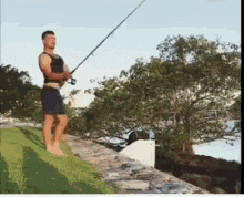 tenor-191713800.gif