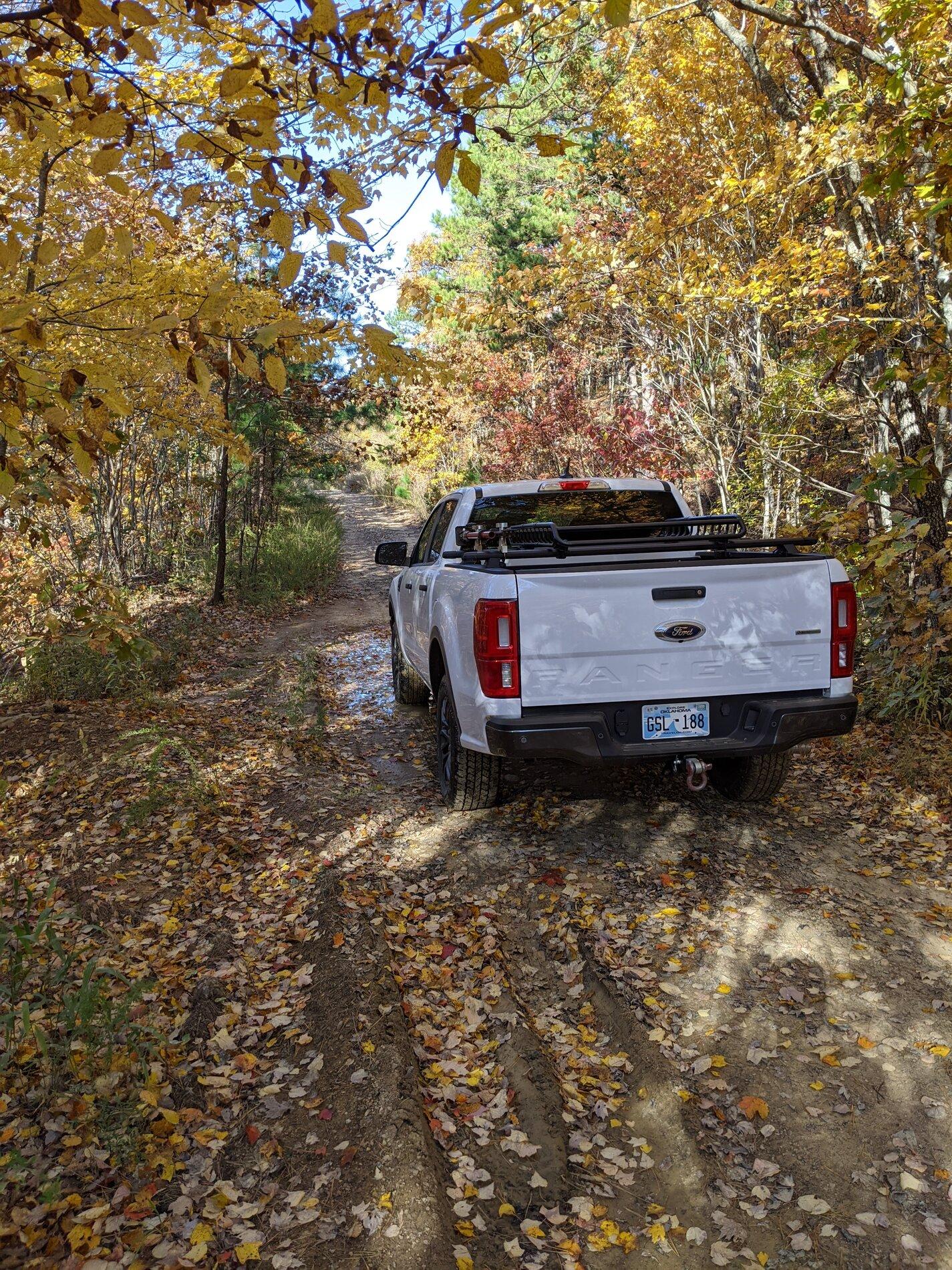 PXL_20201105_151215527.MP.jpg