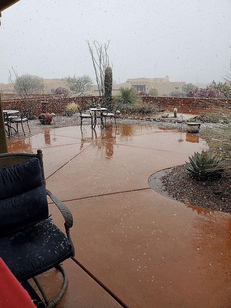 Snow2021.jpg