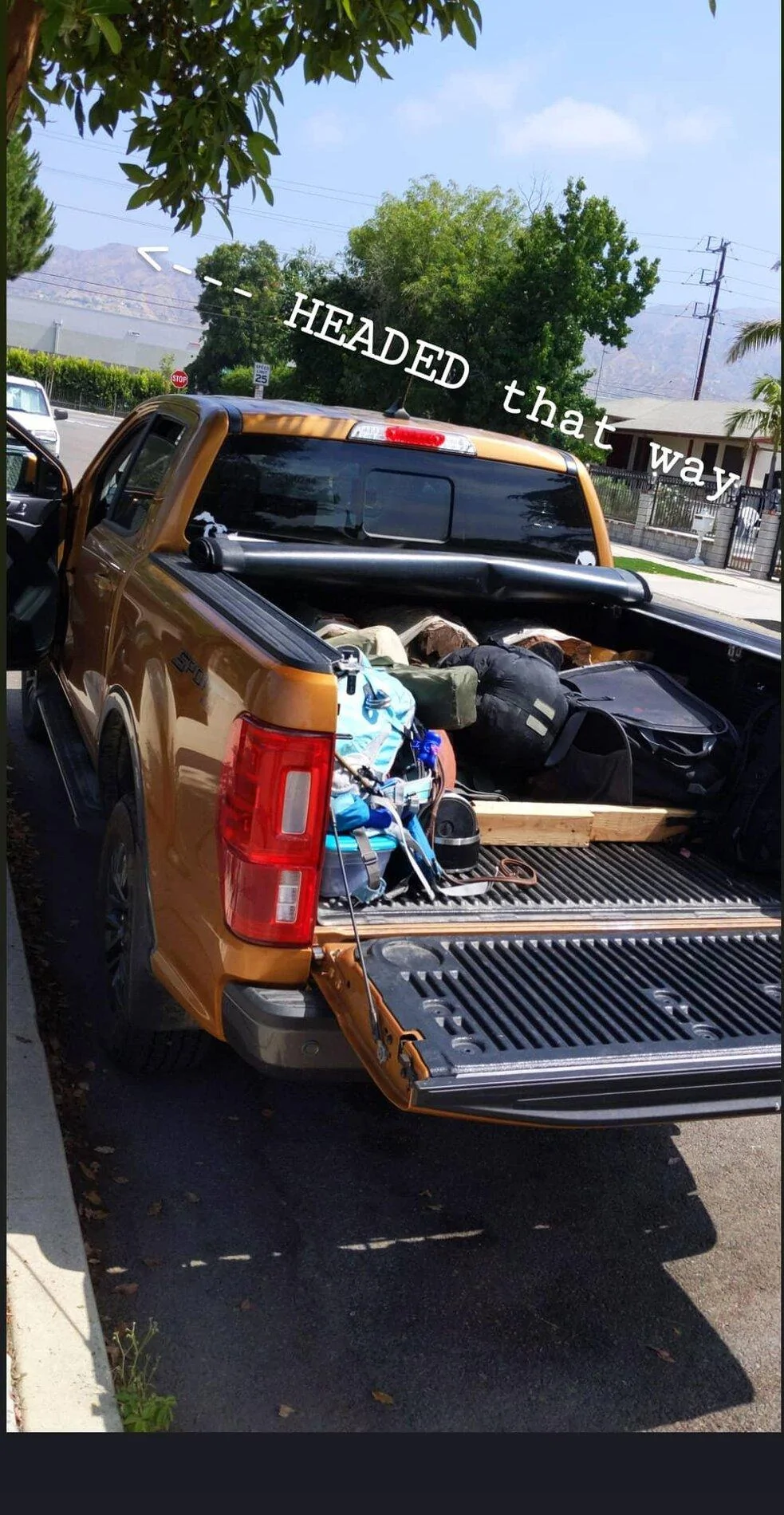 IMG_20210128_223413_038.webp