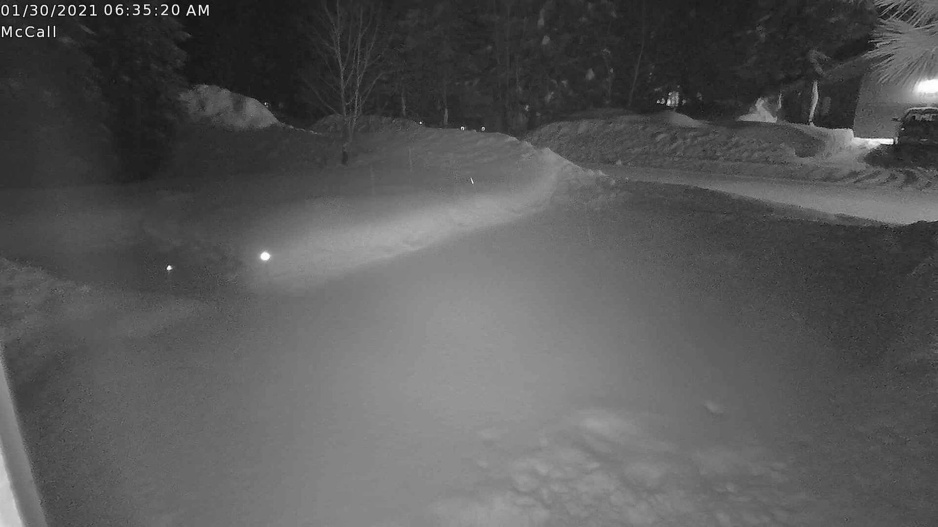 snow 013021.jpg