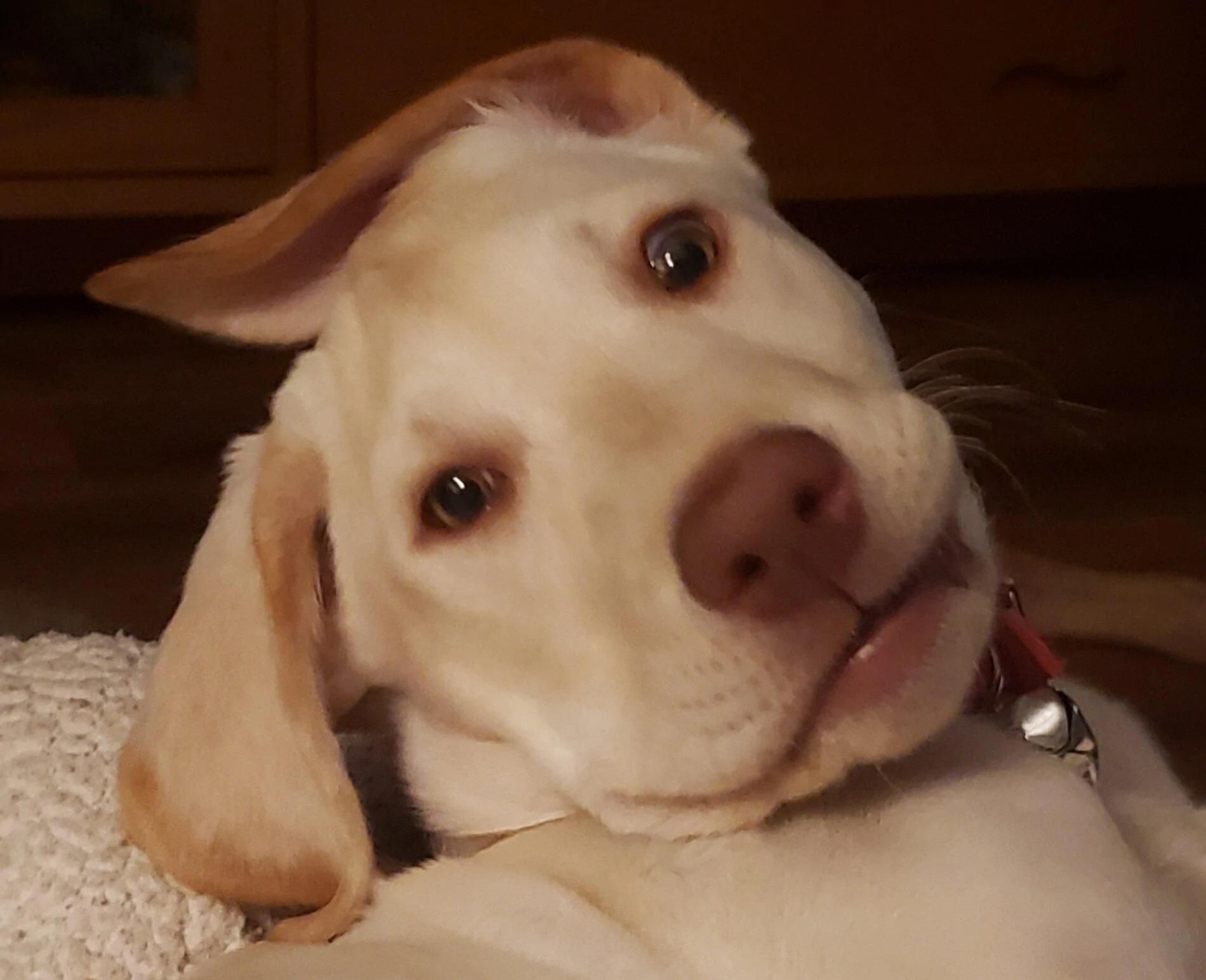20201213_122641.jpg
