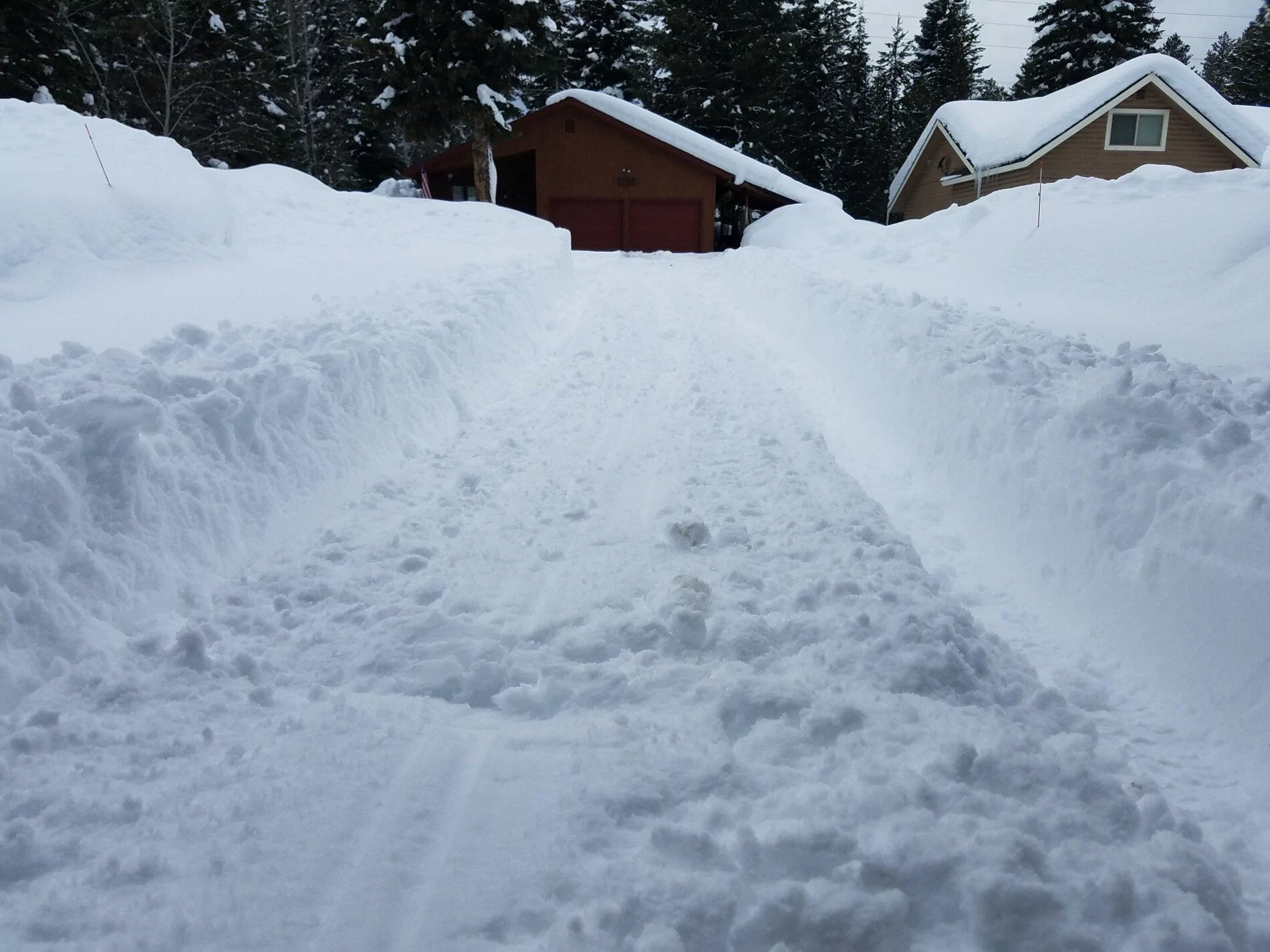 Tracks 013021.webp
