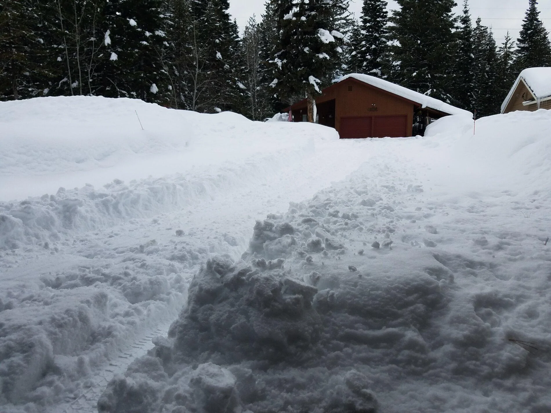 Tracks2 013021.webp