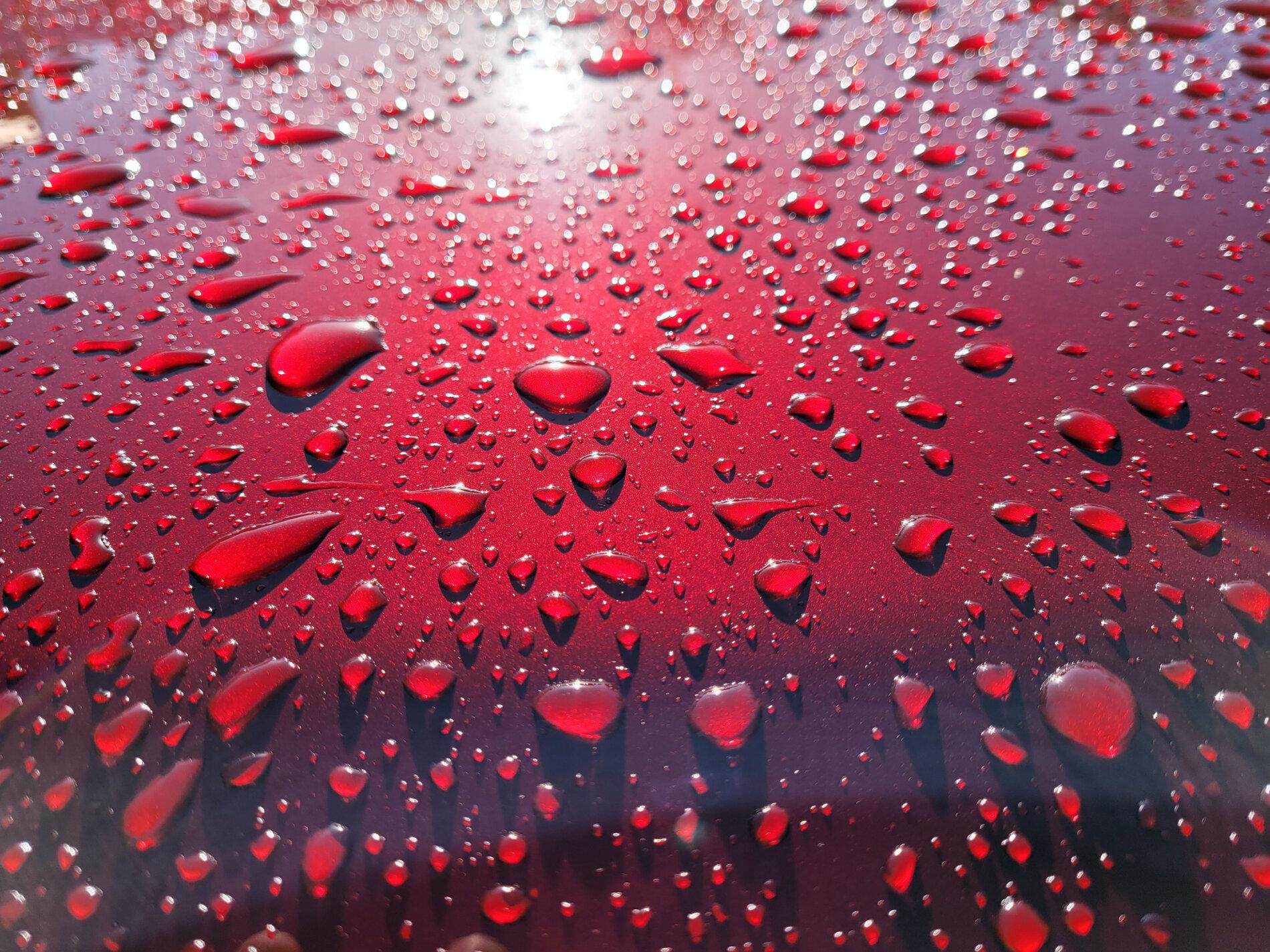 rain drops.jpg