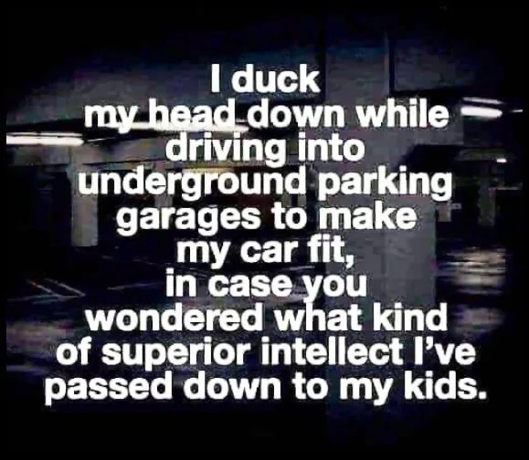 I Duck My Head.jpg