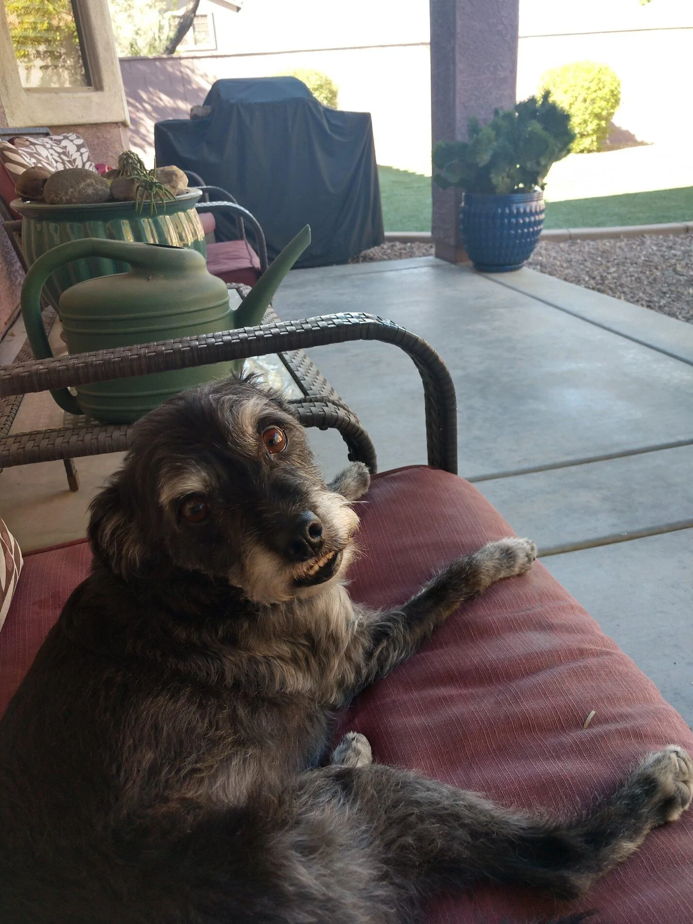 IMG_20210207_112959169_HDR.webp