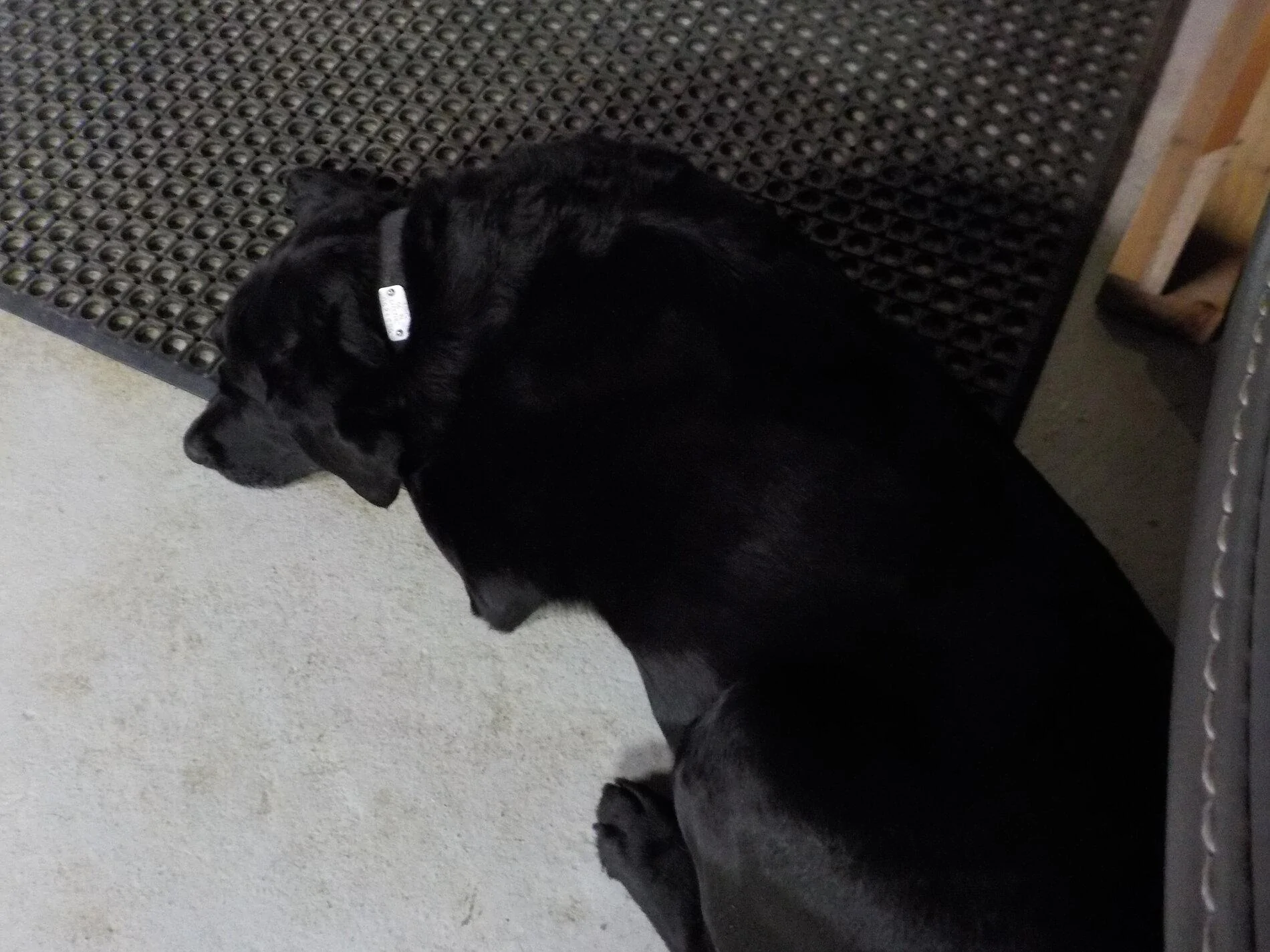 DSCN0085.webp