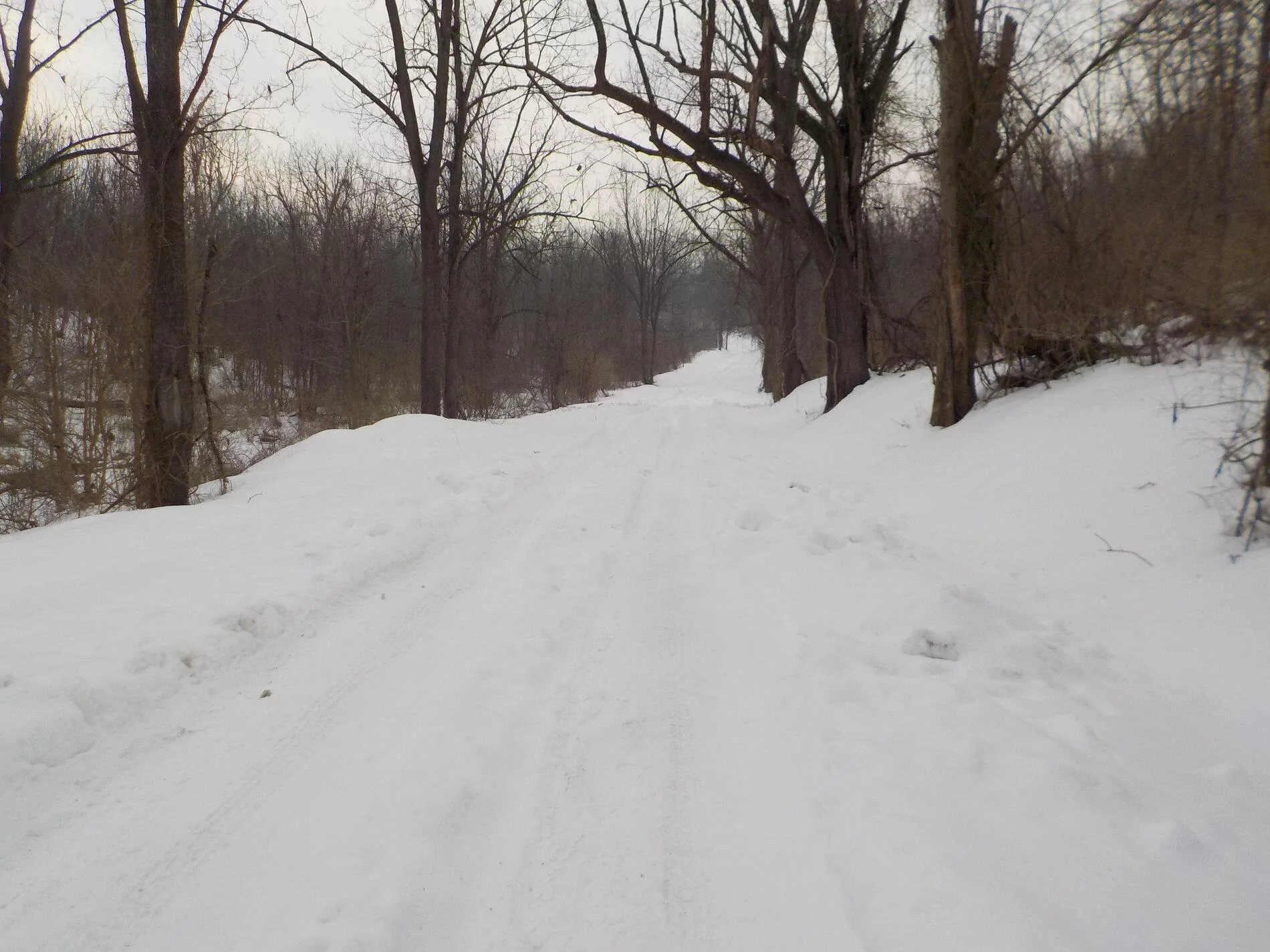 snow 2.JPG