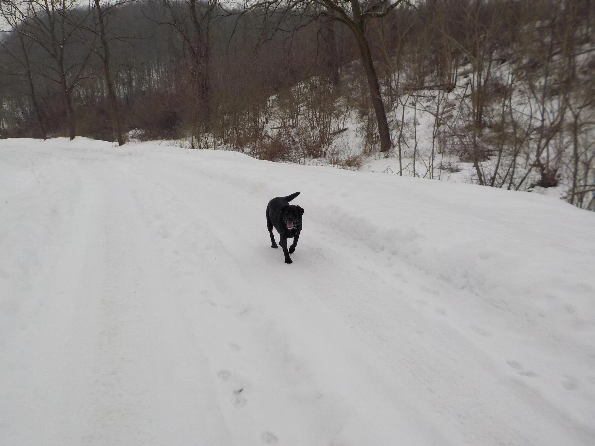 snow 3.JPG