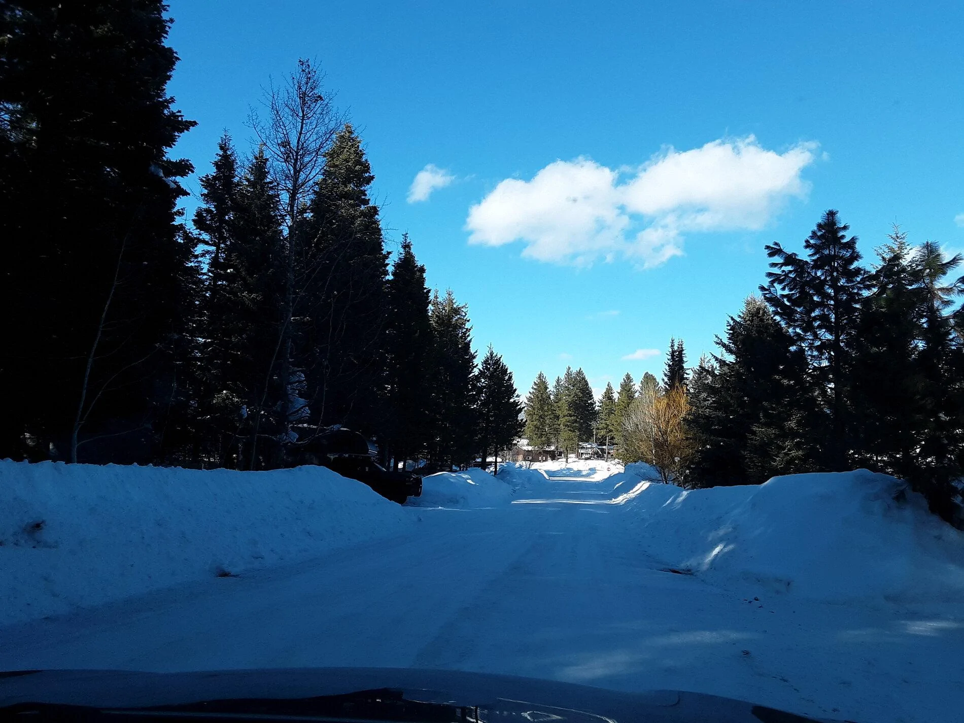 Road 021021.webp