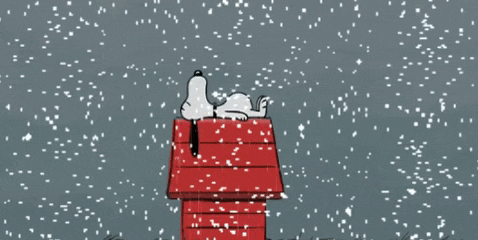 8EA523EA-87AE-4289-85D9-7807BA118F46.gif