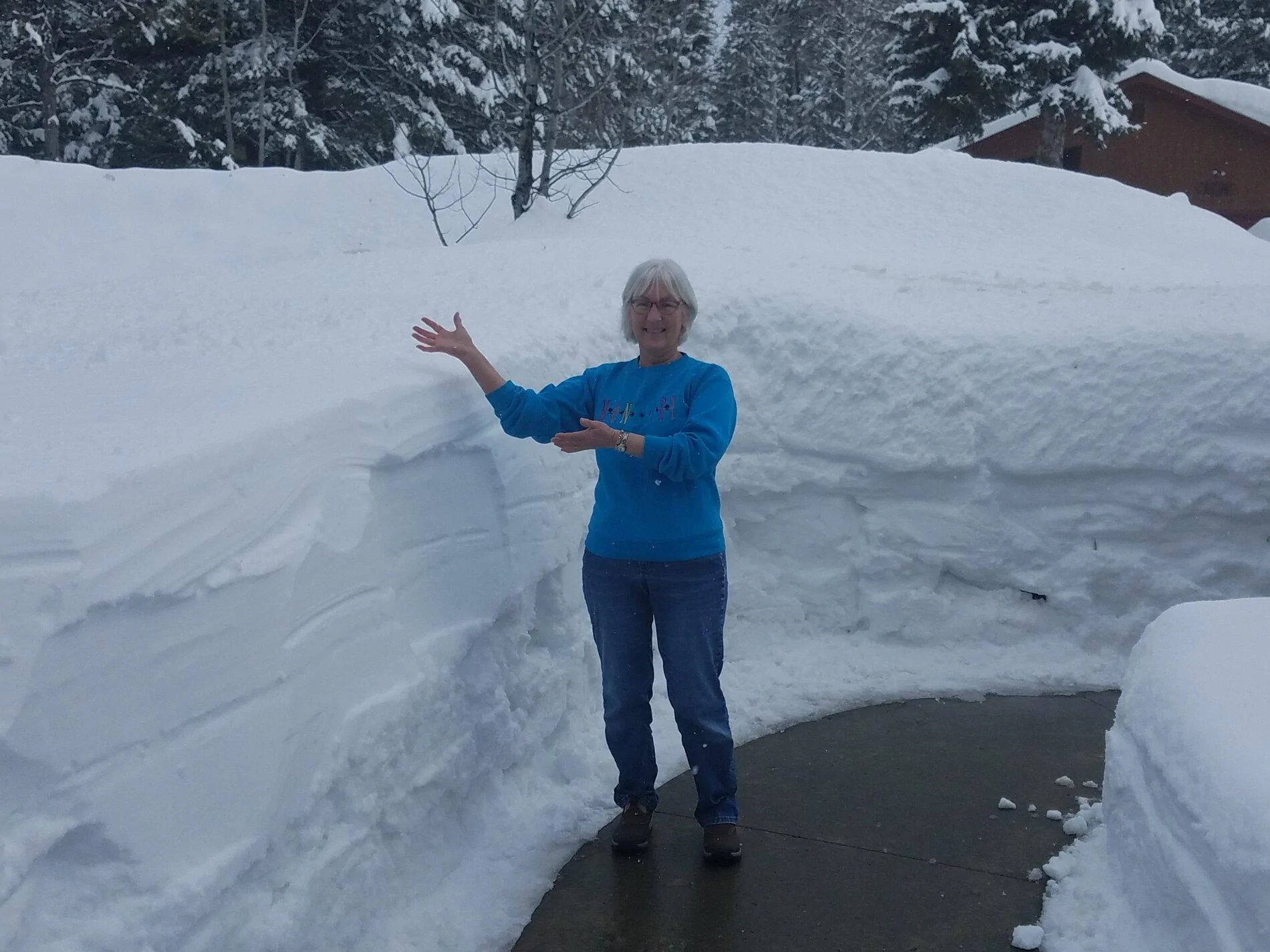 54 snow.webp