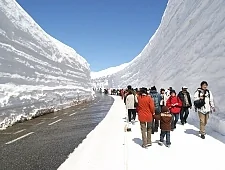 XYZeXYZe7550_225.webp