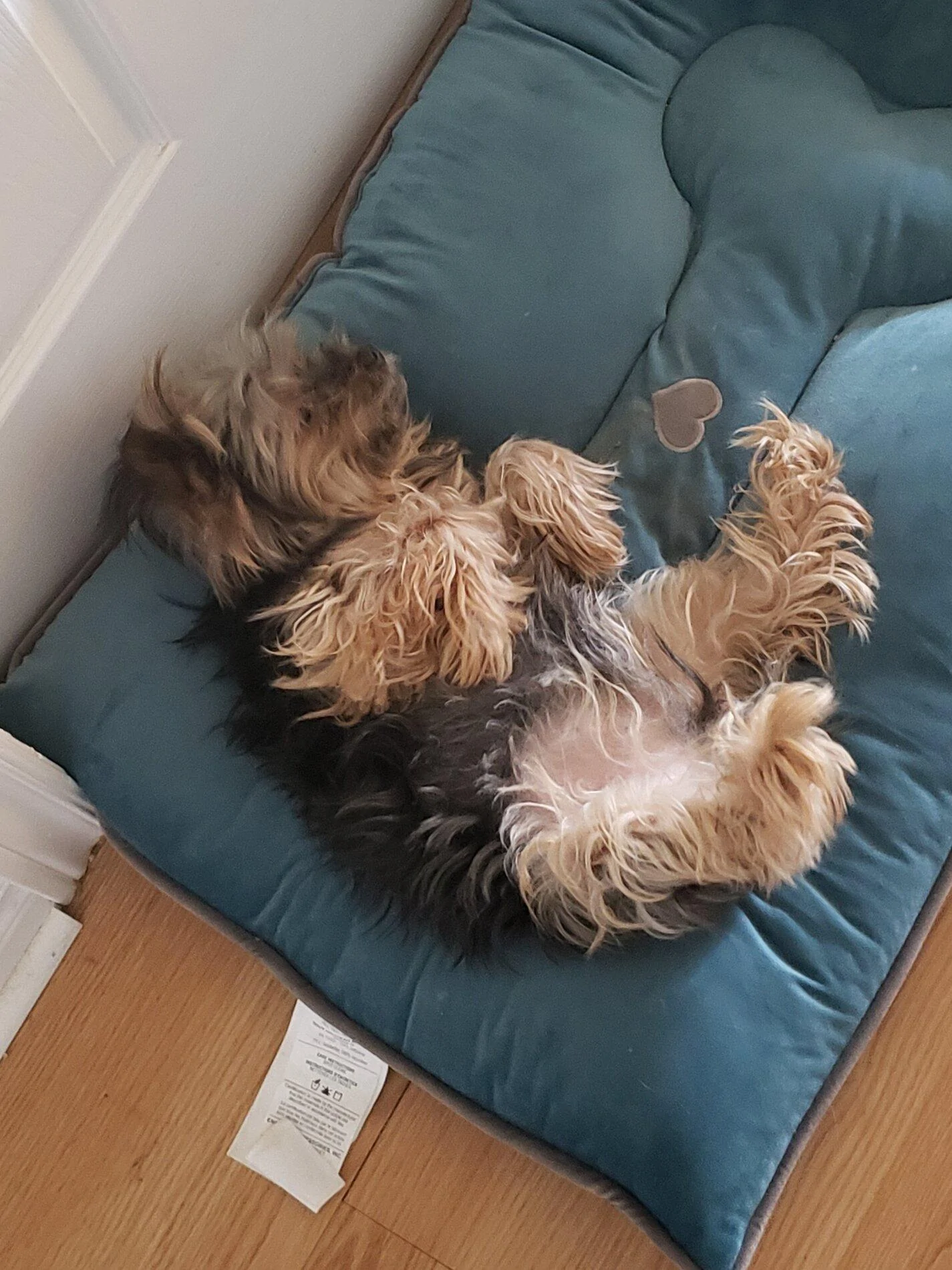 20191106_103437.jpg