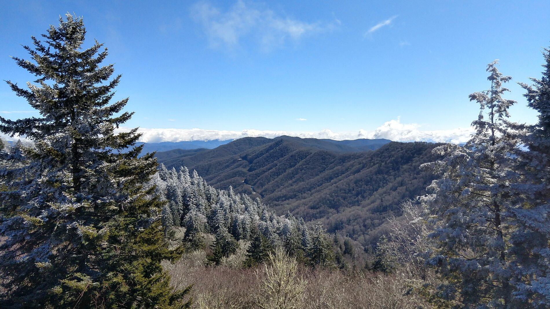 IMG_20210219_132353742_HDR.jpg