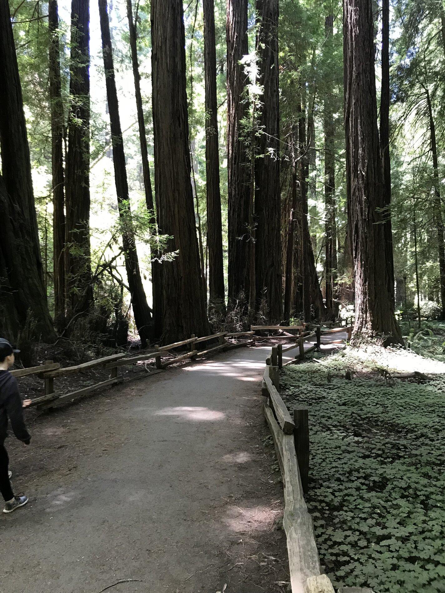 F0053731-1C64-4BA1-9B2A-C3A6274348EF.jpeg